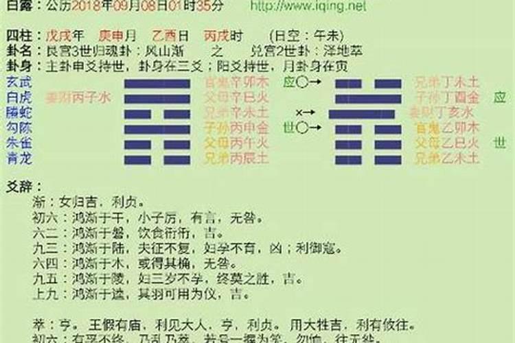 属猪的本命年戴什么转运 属猪本命年佩戴什么好