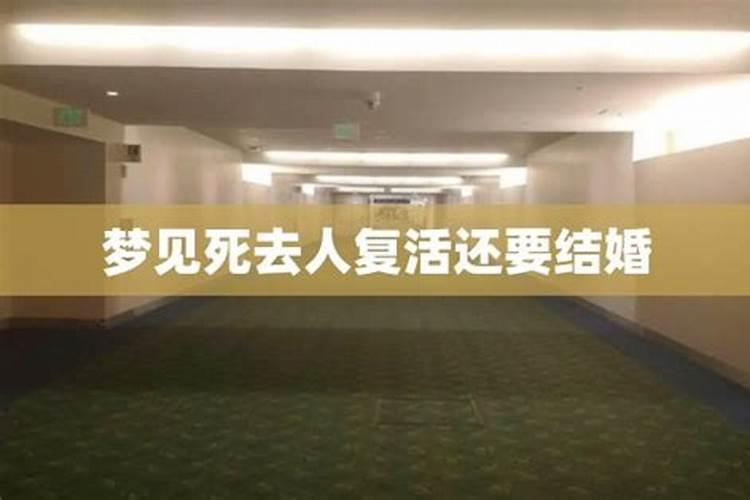 87年属兔男2025年运势
