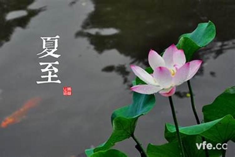 三合生肖的好处