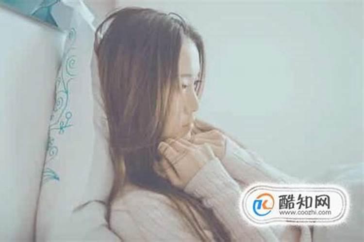 独霸森林打一动物