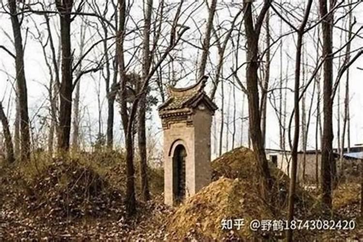 算卦免费测算方法与技巧分享