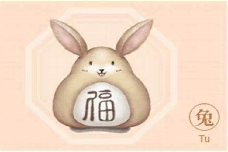 2025年各生肖运势