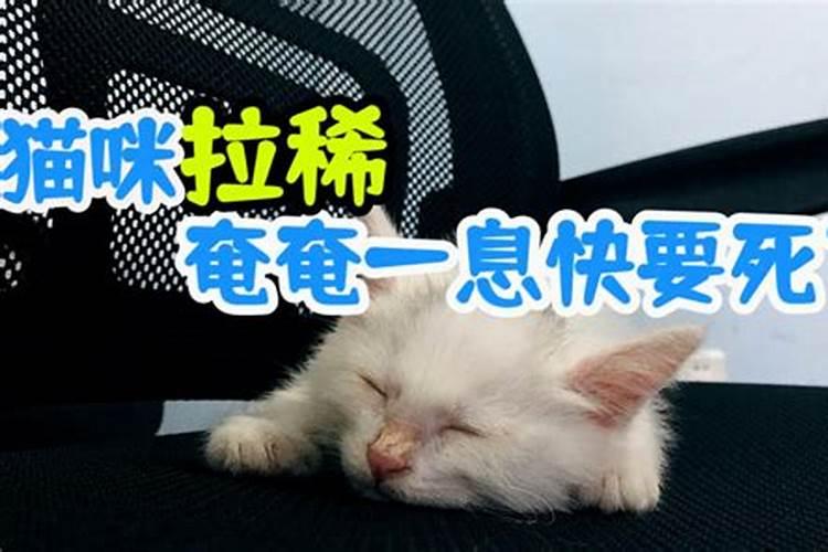 2025属蛇本命年可以领证吗 属蛇人适合在什么时候结婚