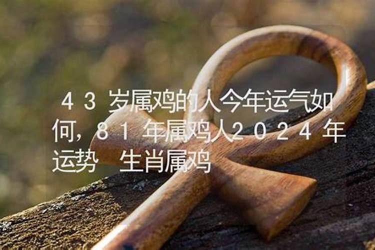 虎和马合不合相配吗 属虎女和属马男的婚姻合吗