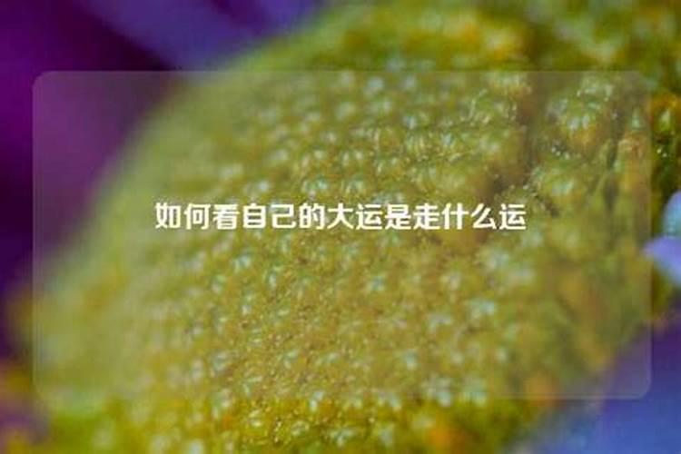 距离2024年还有几分钟