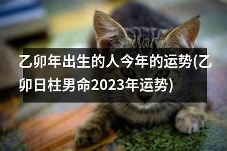 1975年阴历10月28日卯时出生男今年运程