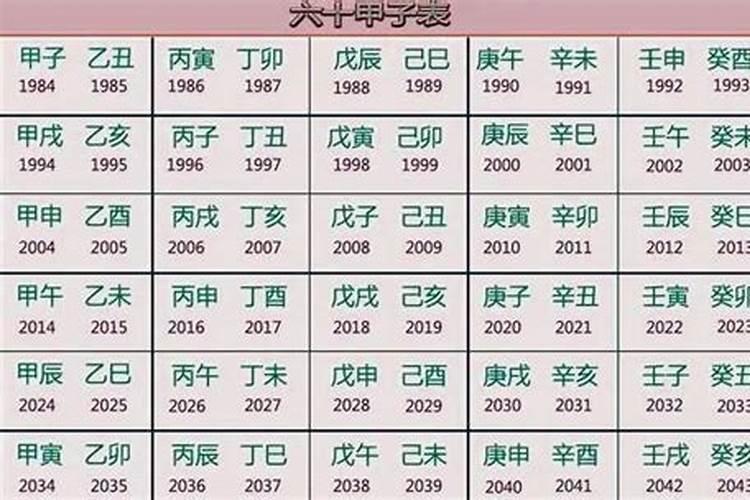 2025年是什么年什么命