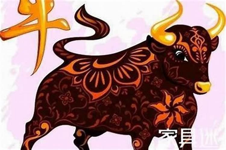属牛2025年运程分析