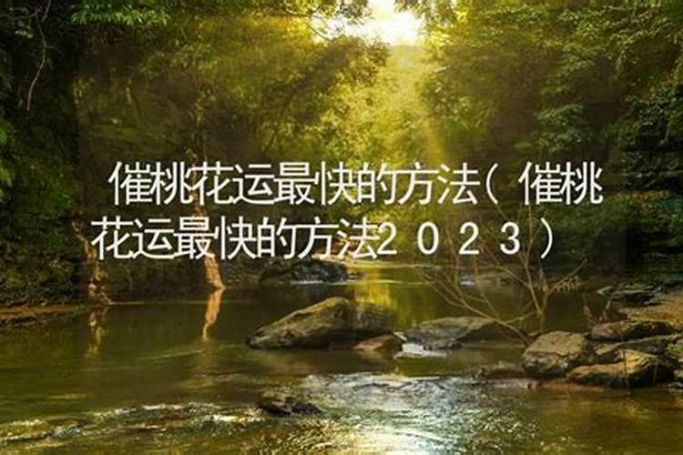 海安市乐百年小镇有哪些令人念念不忘的景色？