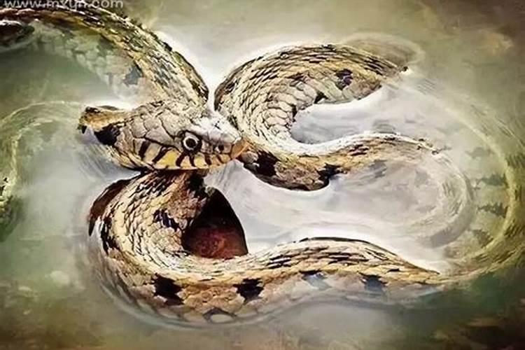端午在阳历中的日期是固定的吗？