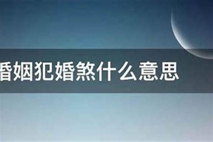 84年2025年属鼠人的全年运势