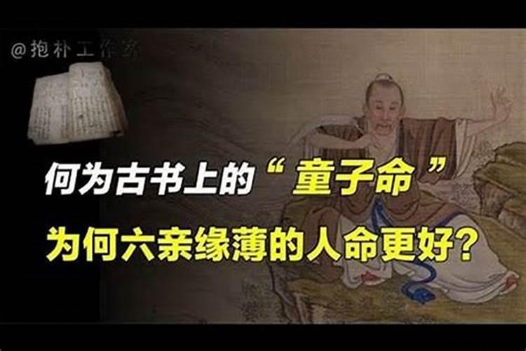 1994年属狗老历二月一日生的好不好