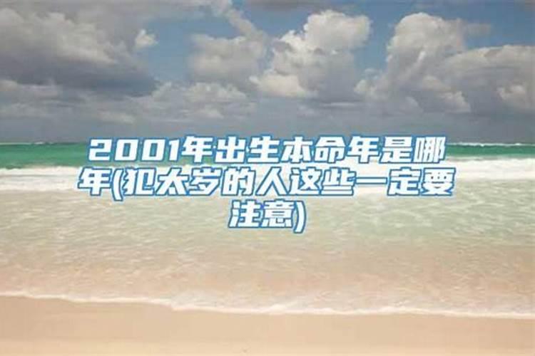 95年猪男2025的婚姻和事业运势