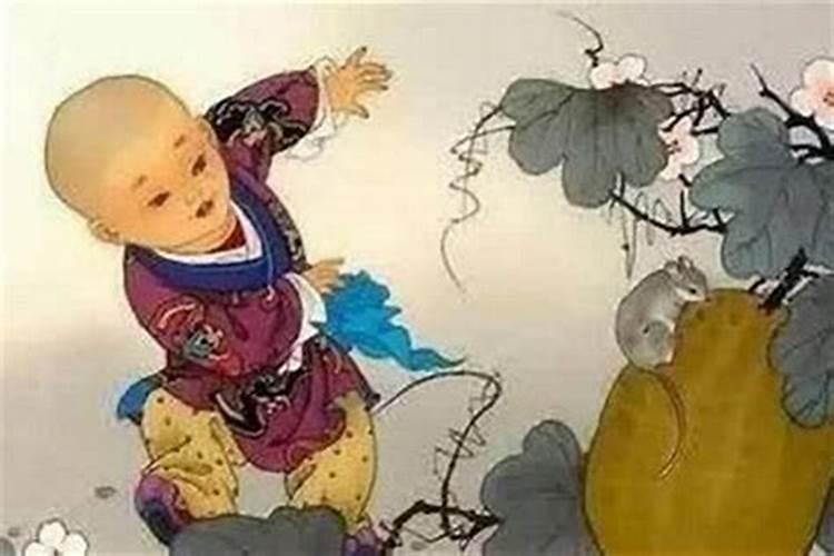 84年女鼠2025年属鼠人的全年运势
