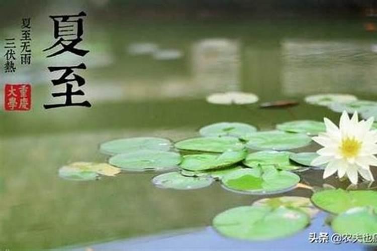 2024年夏至是6月21日还是6月22日