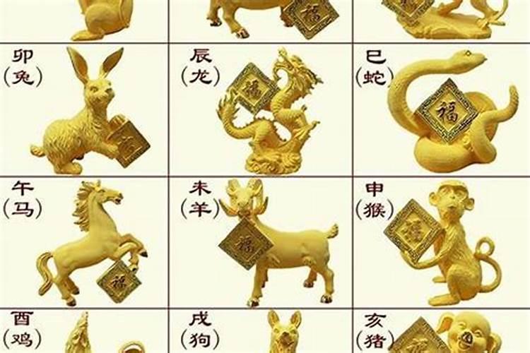 2025属羊人全年12个月运势