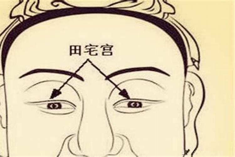 生肖猴1956年出生2025几岁了