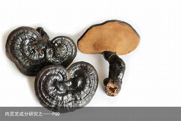 2025年属马犯太岁佩戴什么化解