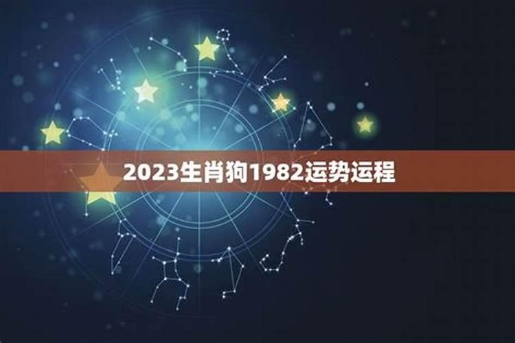1982年狗2025年运势
