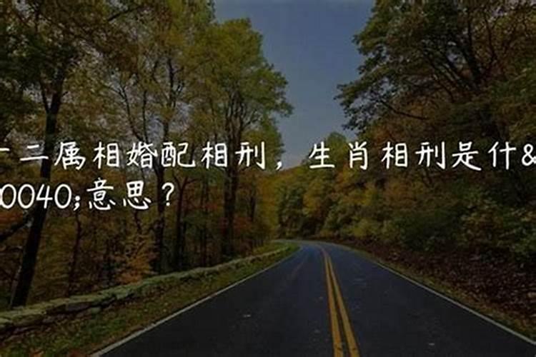 生肖龙2012年2025年运势如何 生肖龙2012年2025年全年运势