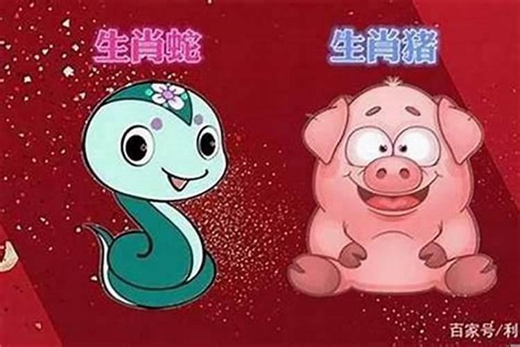 蛇女和猪男能结婚么？