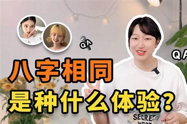 属马最佳婚配前十名属相,属马配什么属相最好