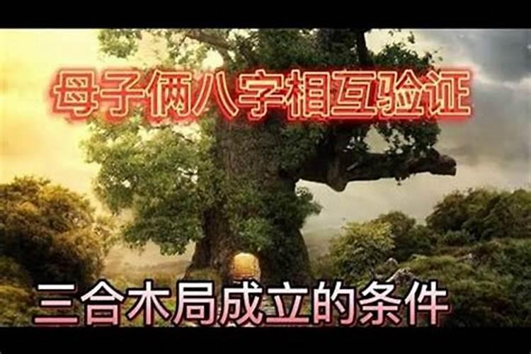 梦见人死我怀里了的预兆