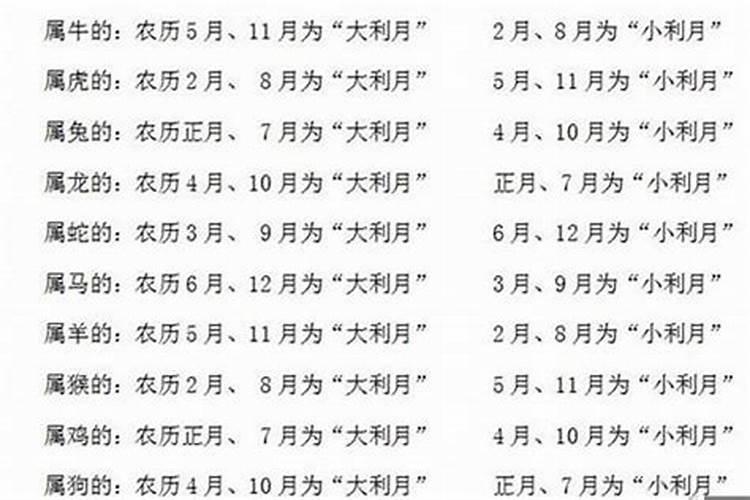 属蛇与属蛇是最佳婚配 了解彼此相互依赖