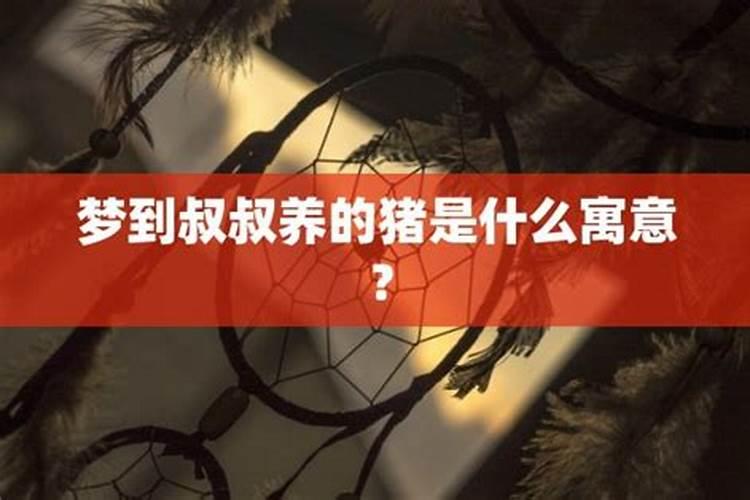 两个人的出生日期配对 男女生肖属性看两人合不合适？