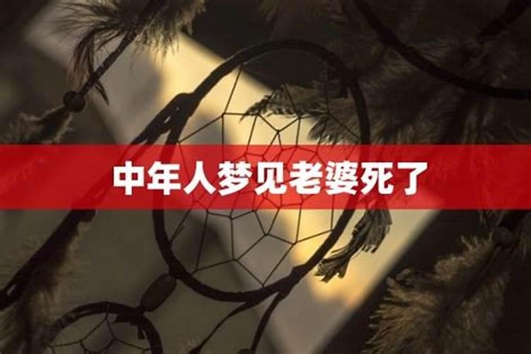 十二属相婚配哪个最合适,生日配对:十二生肖如何婚配最好命