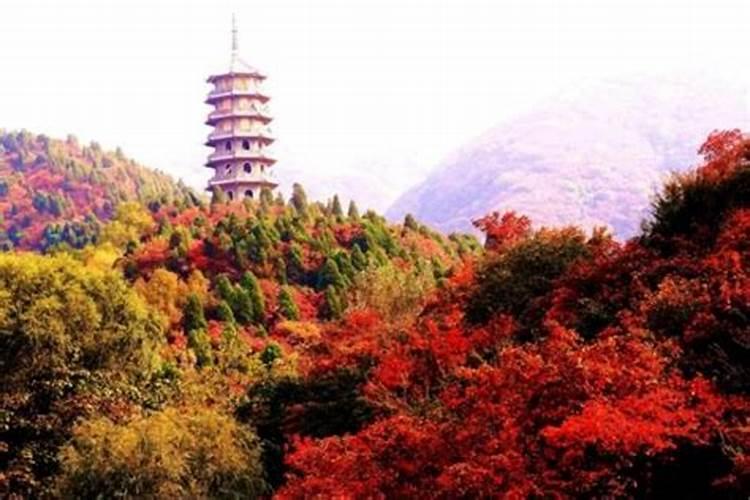 Y1978年农历腊月十七什么星座 1976年农历五月十三什么星座 1979年十 ...