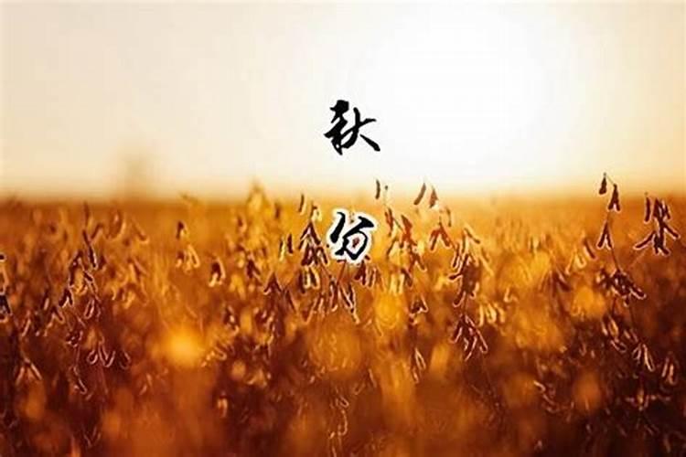 82年属狗人2025运势运程