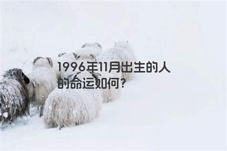 十一月出生属蛇的人婚姻1977年属蛇男有2段婚姻