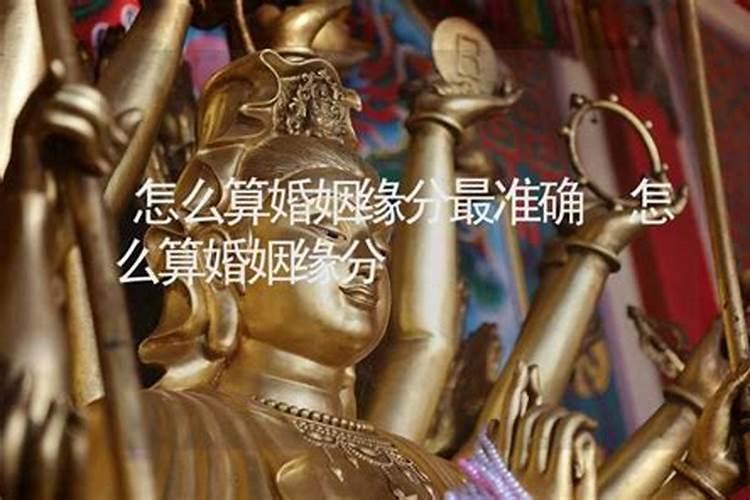 睡觉梦到老鼠爬到身上预示着什么意思