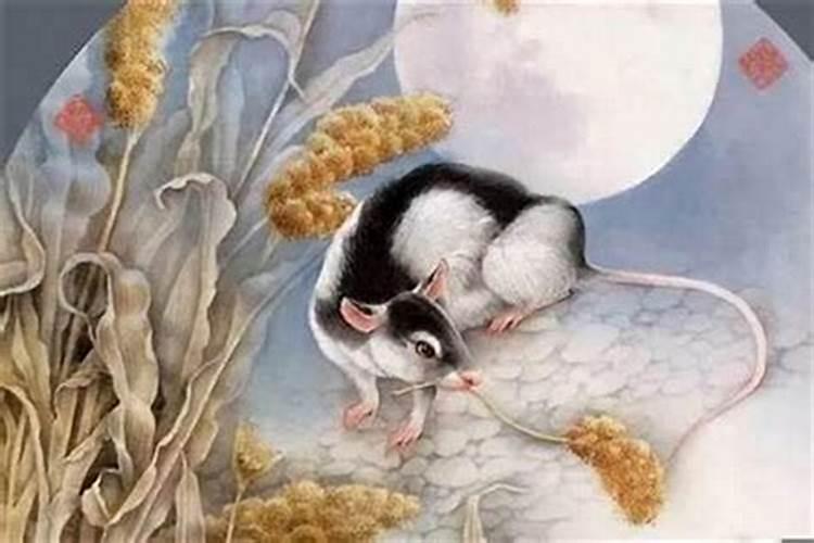 属鼠的几月出生旺财运属鼠人哪个月出生最有福气