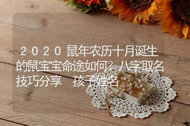 本人1996年十月初一酉时出生,男性,请问八字命理如何？