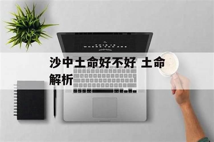 土命是什么意思