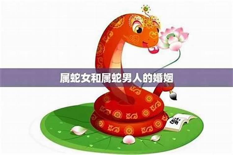蛇女马男生属相婚配好吗