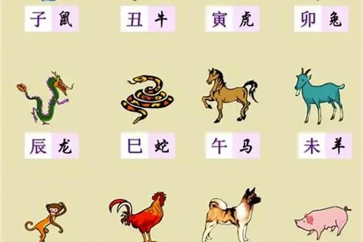 2025年每月运势详解