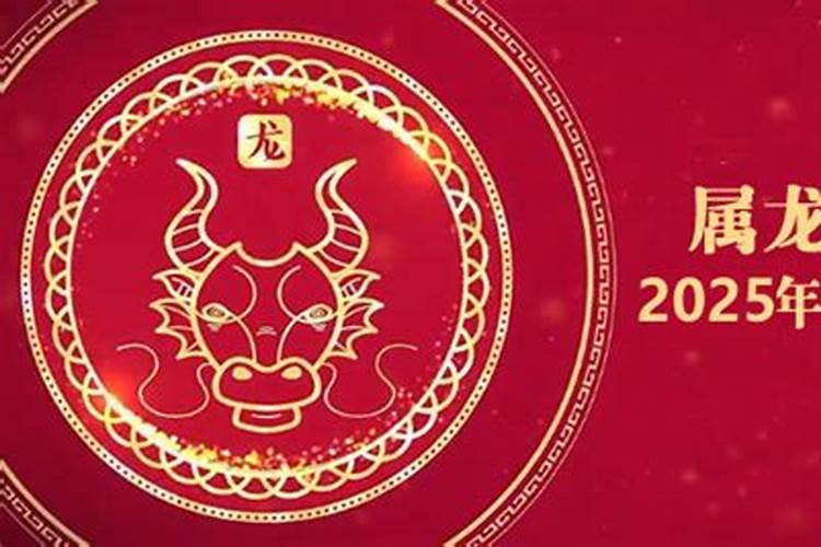 今日生肖运势2024年2月12日解析