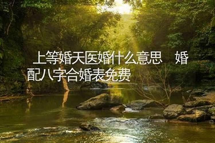 2025年正月初一是几月几号