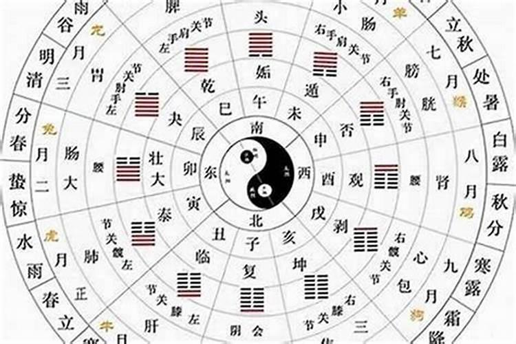 2025年是属蛇什么命？2025年属蛇人的运势
