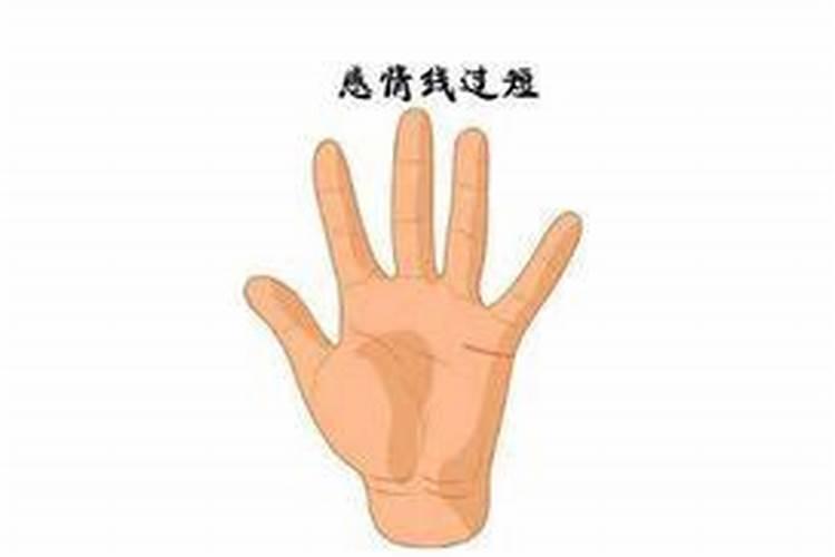 36本命年有什么讲究