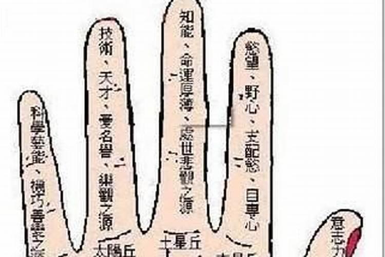梦见一家人晚上逛街的预兆