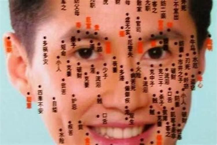 2025属兔人全年12个月运势如何