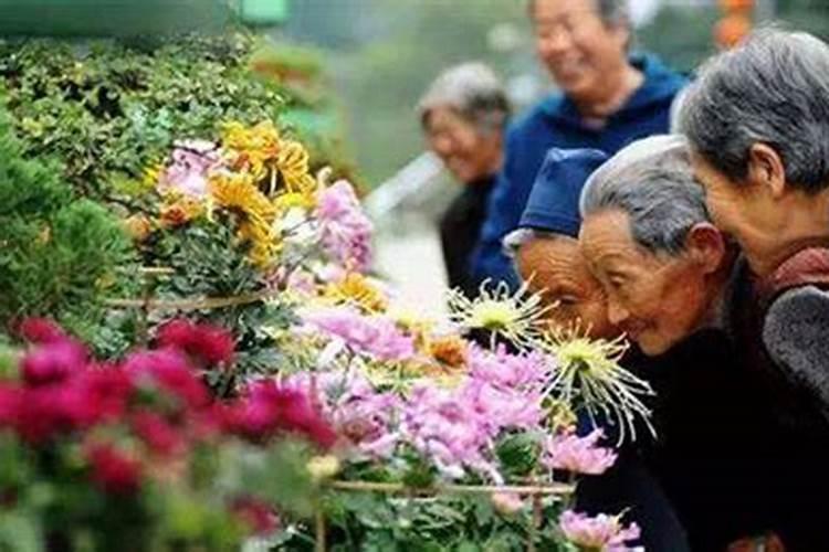 1985年属牛农历12月24寅时一生财运好不好