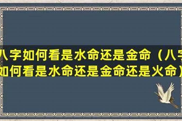 天河水命在2023年流年运势 事业多遇机会