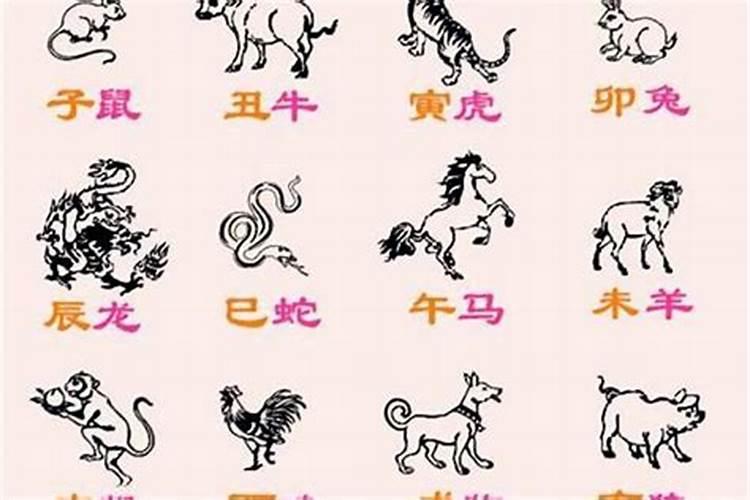 2025年4月12号特吉生肖