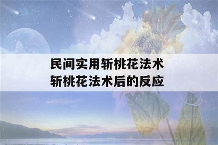 梦见死猫死老鼠的预兆