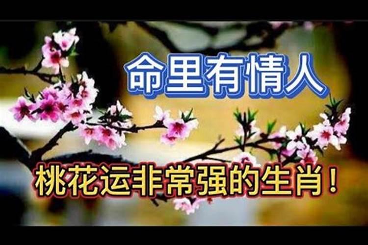 梦见自己和一个大老板一起工作